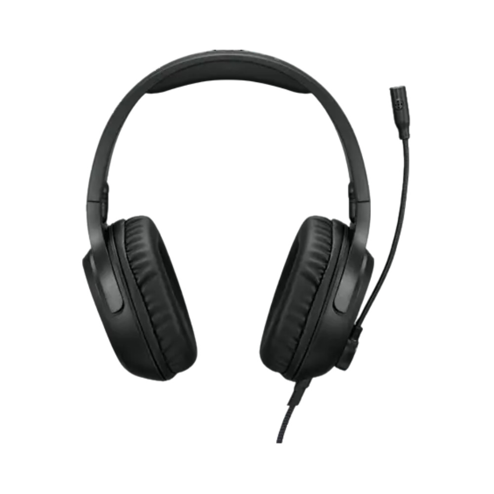 LENOVO IdeaPad Gaming H110 Headset